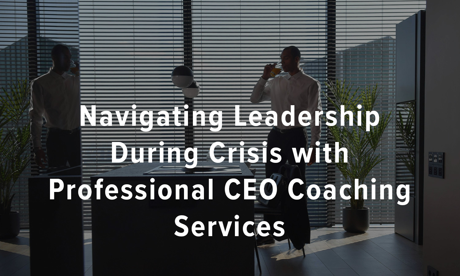 Navigating Leadership During Crisis with Professional CEO Coaching Services